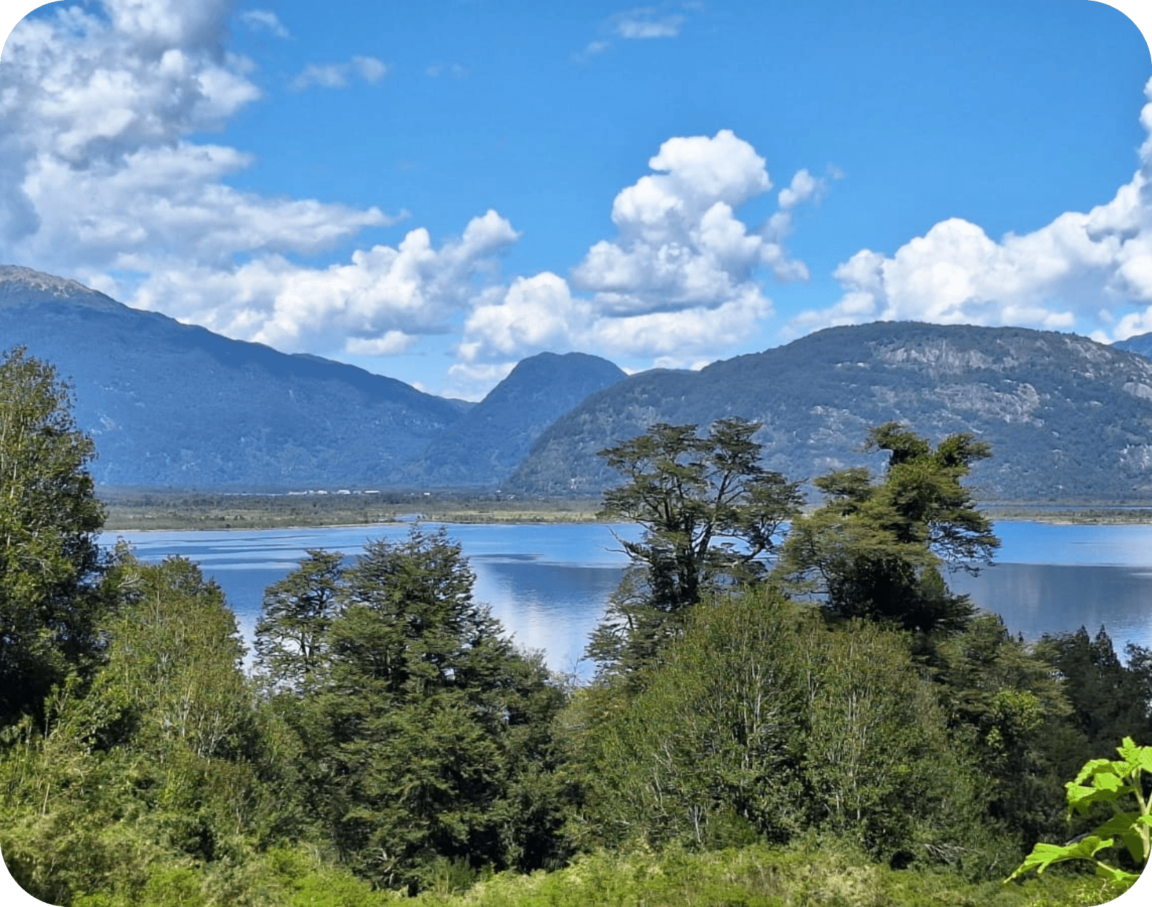 Lago y bosques en la Patagonia — Banco de Biodiversidad