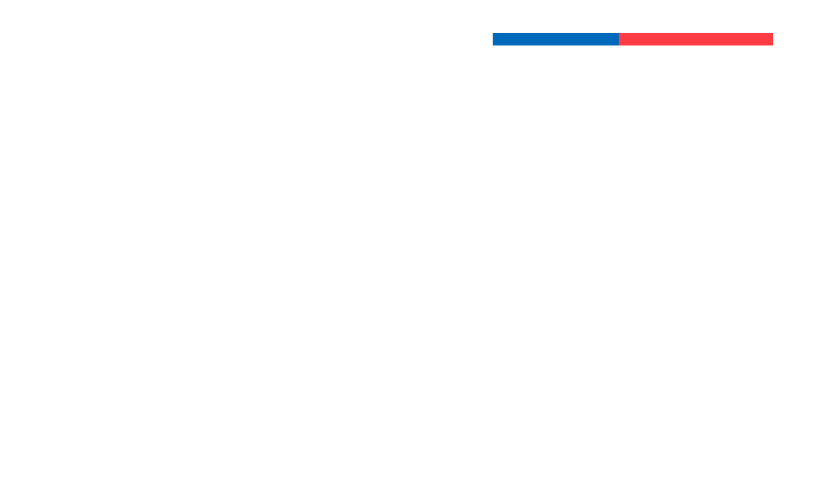 Comité Desarrollo Productivo — AYSÉN por CORFO