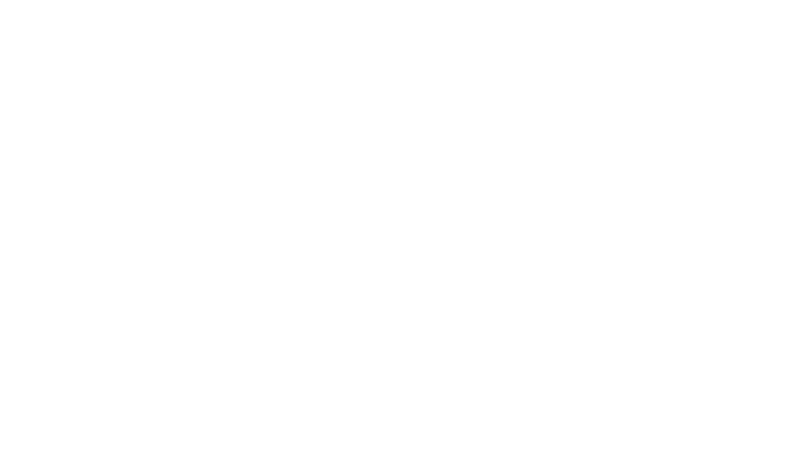 Consejo del Salmón Chile